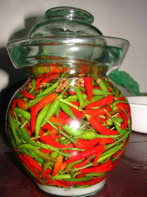 跳水泡菜最简单好吃的做法,萝卜泡菜的家常做法简单又好吃