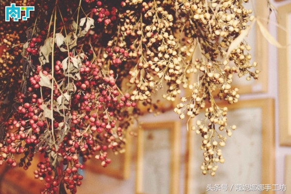 手工制作植物标本,手工标本制作植物花