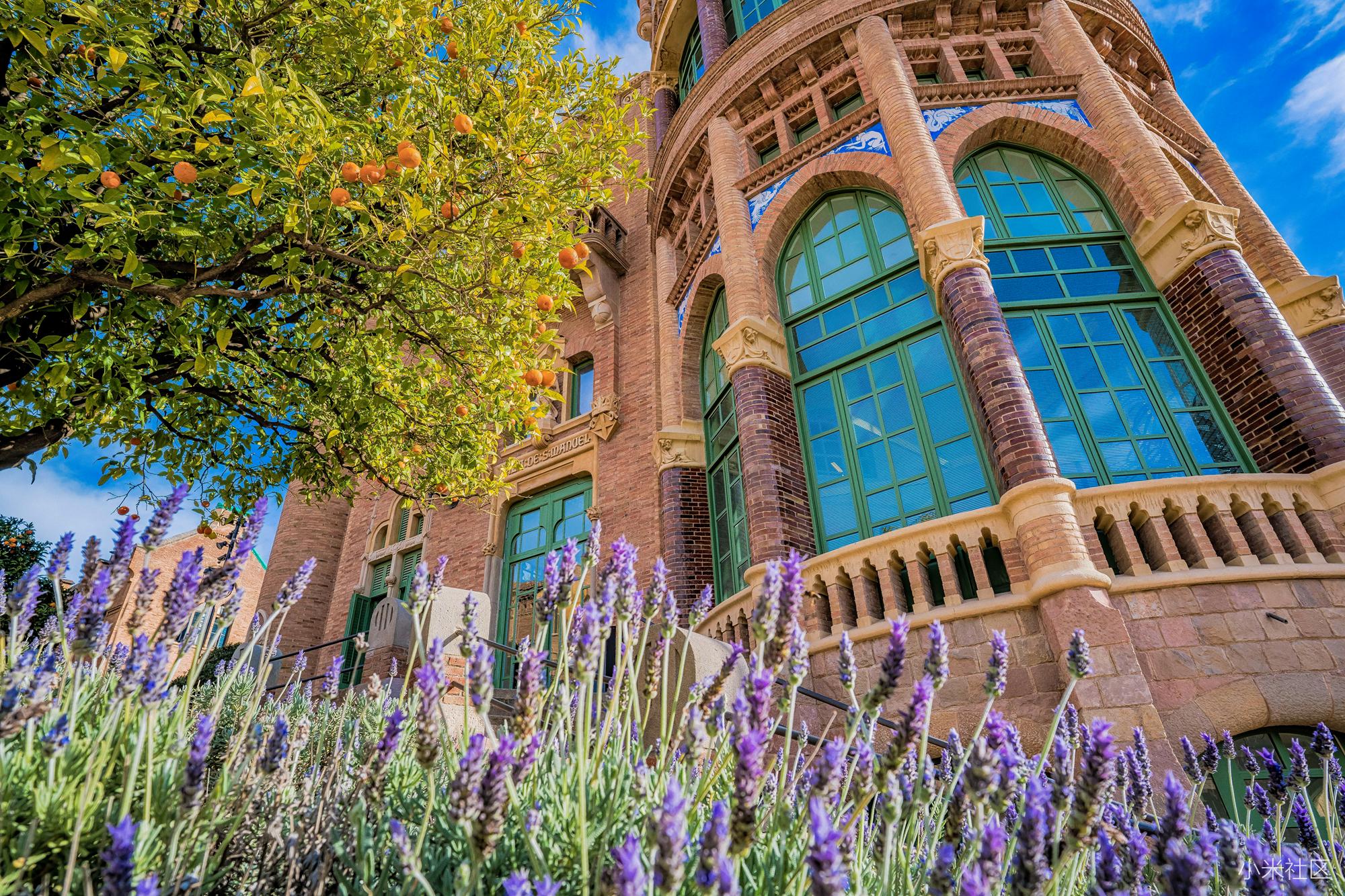 小米小蚁微单相机什么时候更新,小蚁微单是小米的吗