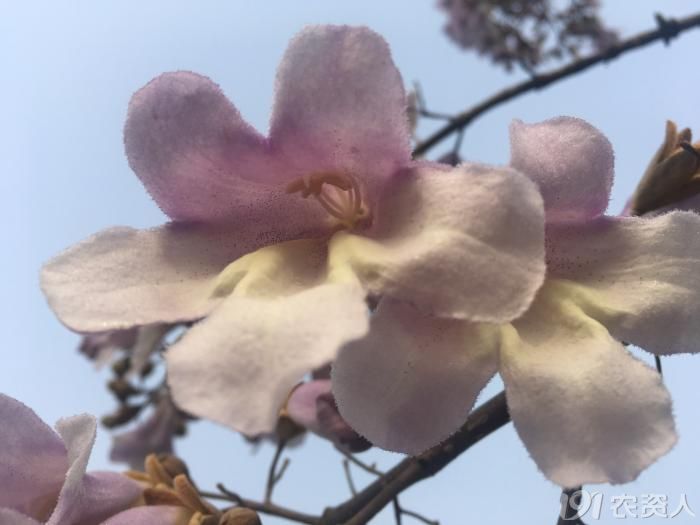 农村有这几样东西别扔,农村人这几种事千万不要做