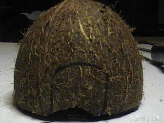 自制鱼洞,用椰子做窝