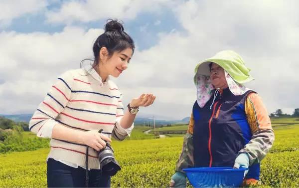 大美泰达满地灿烂！花期易逝，千金不换，还不快来！