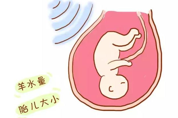 整个孕期所有产检的详细的书,产检全攻略快收藏起来