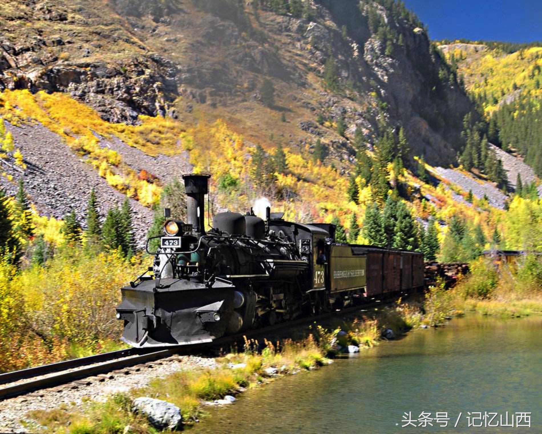 灰鲸迁徙觅食,灰鲸云南旅游