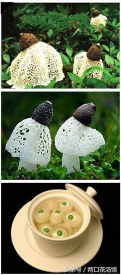 大别山深处的绝美山珍！