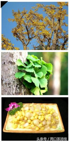 大别山深处的绝美山珍！