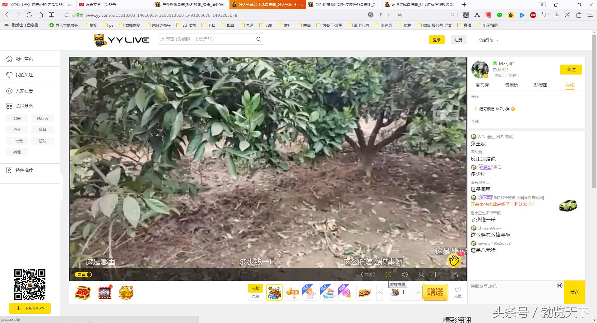 yy直播平台的功能介绍,yy直播最近怎样