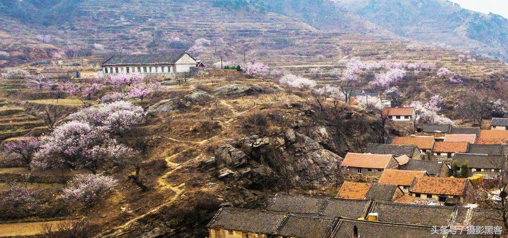 濞佹捣涔冲北妯辨,灞变笢涔冲北妯辨