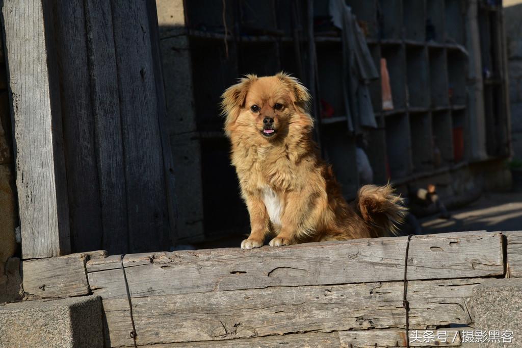 濞佹捣涔冲北妯辨,灞变笢涔冲北妯辨