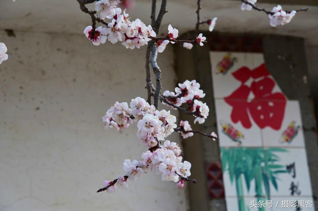 濞佹捣涔冲北妯辨,灞变笢涔冲北妯辨