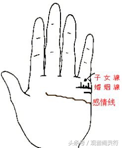 从手相看儿女个数,从手相上怎么看有几个孩子