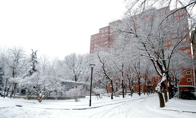 高考志愿中医怎么样,高考志愿填中医有什么要求