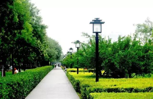 春天来了带着孩子出来,春天来了带着孩子去踏青吧