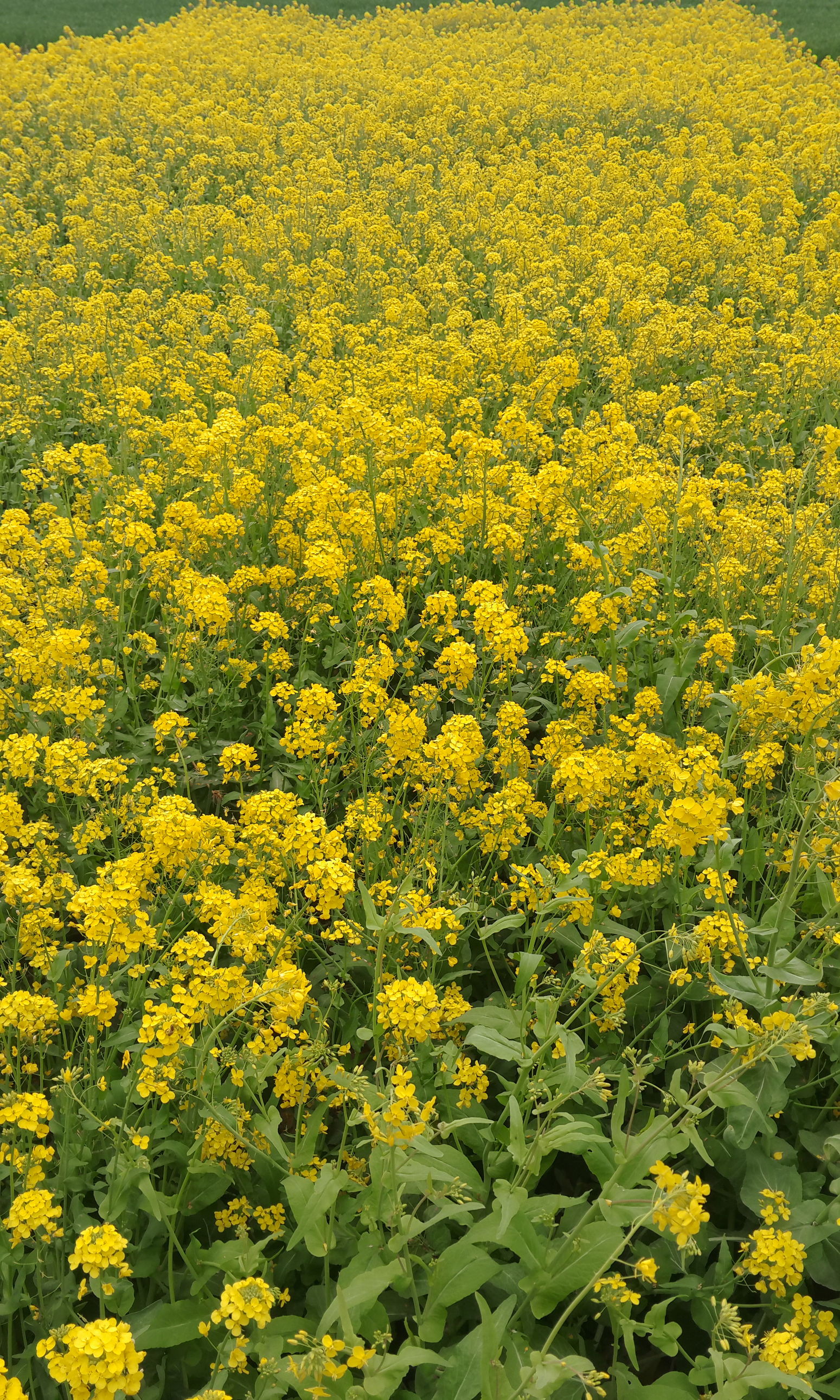 那一种温暖开头结尾,那一种温暖戛然而止