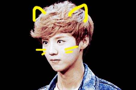 敏感肌医用护肤品雅漾,敏感皮肤修复雅漾