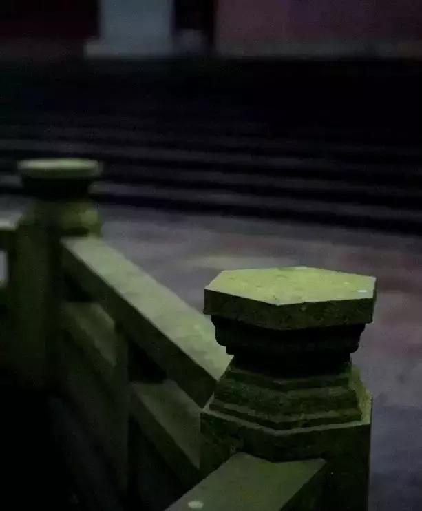 去除青苔的最好方法,去除青苔最有效的方法