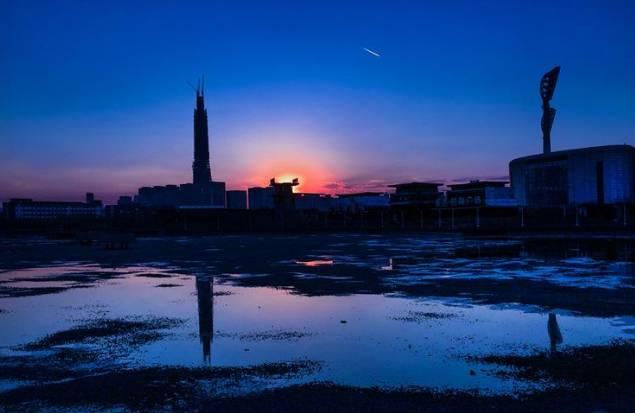 大美泰达满地灿烂！花期易逝，千金不换，还不快来！