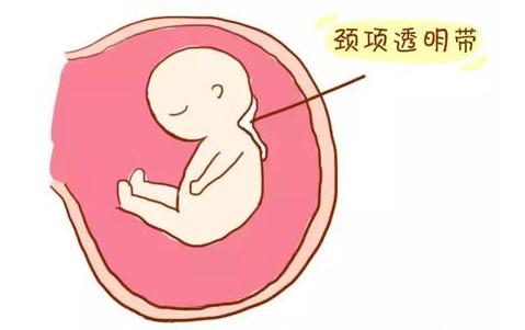 整个孕期所有产检的详细的书,产检全攻略快收藏起来