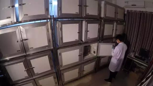 走近科学呼吸困难,走近科学除甲醛