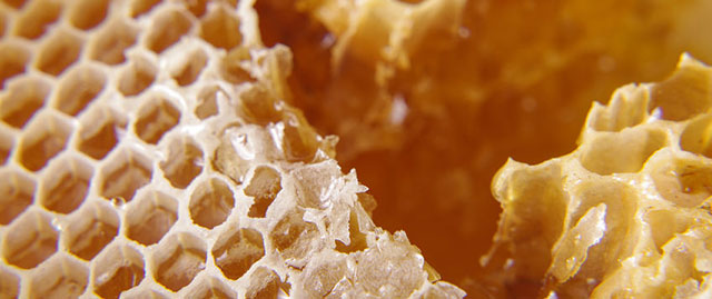 蜂胶是健脾胃补气血吗,蜂胶是保健品能治病吗