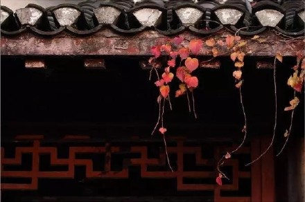 备孕避免宫外孕的最佳方法,助孕治疗是什么