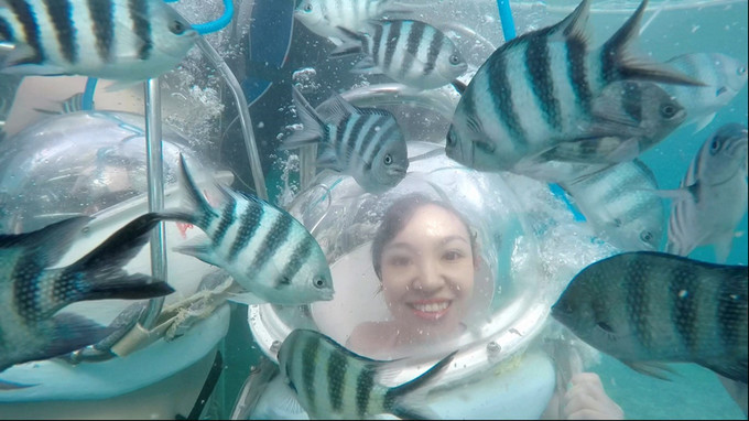 穷游毛里求斯,毛里求斯自由行穷游攻略