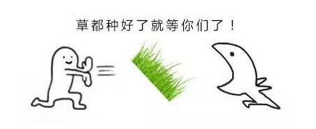 还在烦恼别人生日送什么？看这里吧！