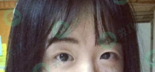 达康书记梁朝伟刘青云,达康张雨绮