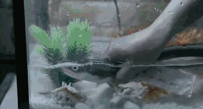 对于*力暴**冷血的逼债人,这是世界上最残忍最虐心的惩罚