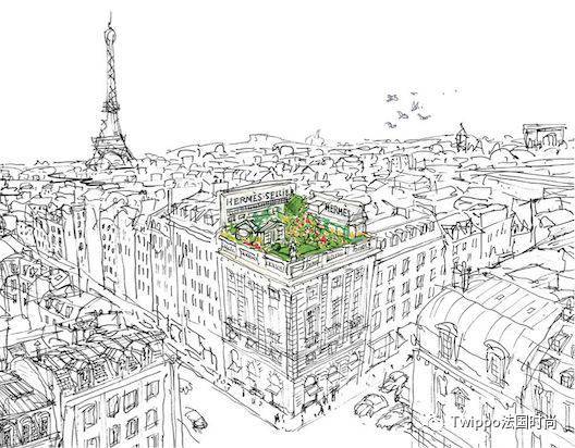 小*香众**水图鉴｜别怪我挑剔，只是这事儿太私密