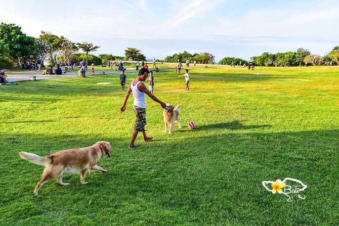 夏日国外巴厘岛避暑旅游推荐,巴厘岛夏天的风景