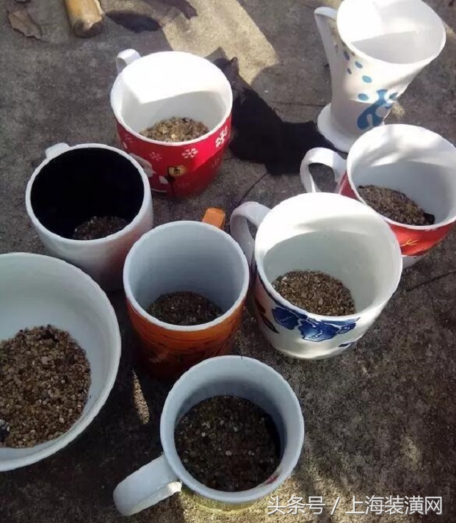 给杯子底部打洞,杯子养花打孔技巧