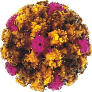 宫颈癌筛查怎么检查的,宫颈癌筛查做tct和hpv怎么查