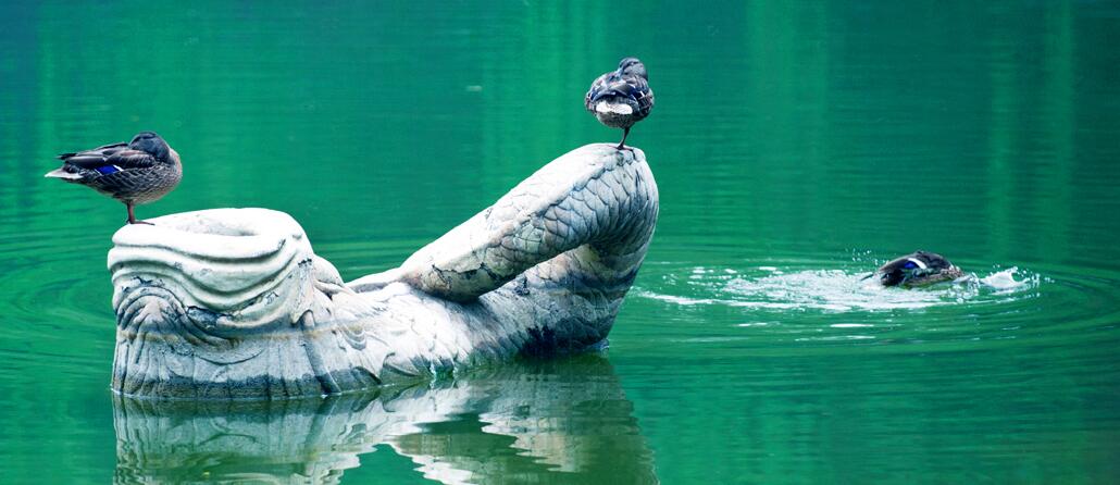 北大校园以前是哪个园林,北大的校园是曾经的皇家园林