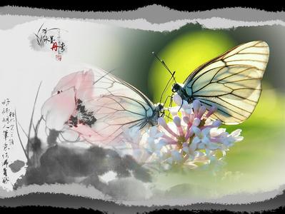 浅谈我所钟爱的《梁祝》,相信你也对其钟爱!