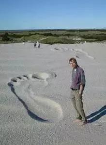 适合小朋友看的好莱坞动画,必看的好莱坞动画电影