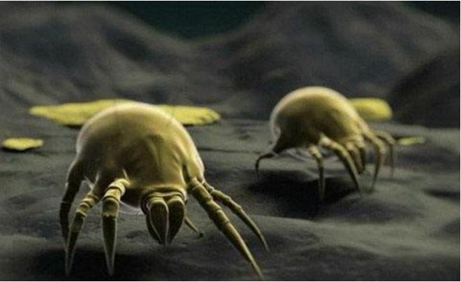 4月踏青赏花,4月赏花