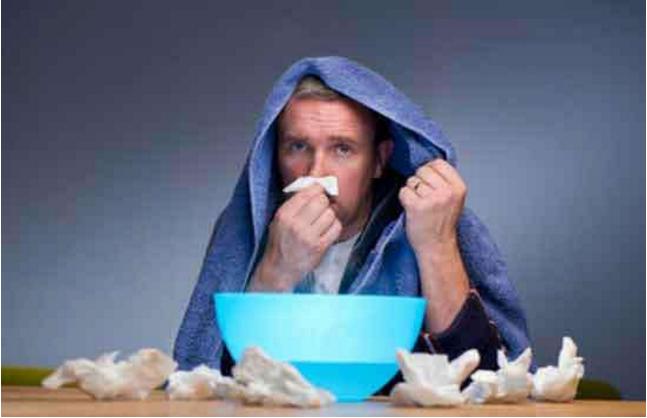 4月踏青赏花,4月赏花