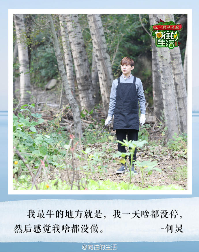 向往的生活我们来了,向往的生活我们来了图片