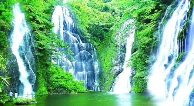 不用去罗平也可以看油菜花,不用去日本也能看的樱花海