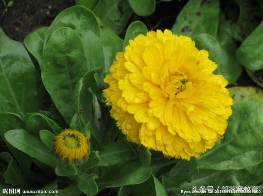 ps魔棒抠图最快又完整的方法,ps魔棒抠图如何增减和删减