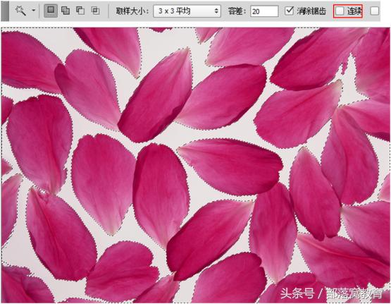 ps魔棒抠图最快又完整的方法,ps魔棒抠图如何增减和删减