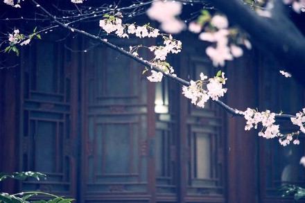 备孕避免宫外孕的最佳方法,助孕治疗是什么