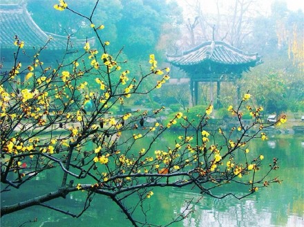 备孕避免宫外孕的最佳方法,助孕治疗是什么