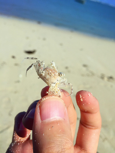 穷游毛里求斯,毛里求斯自由行穷游攻略