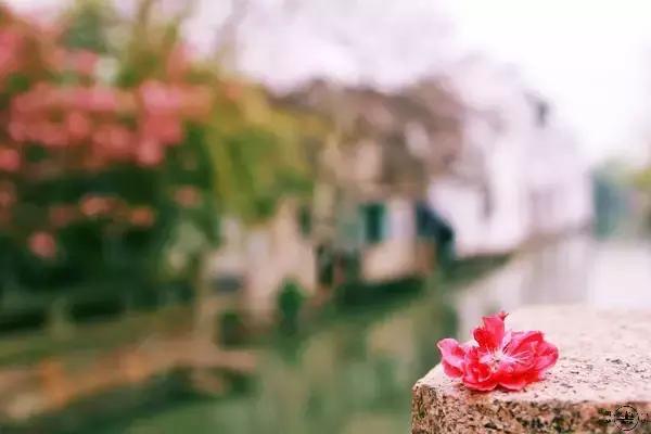 宋诗最经典300首宋词,宋诗历代名诗鉴赏