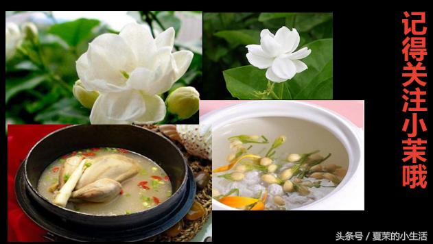 什么花吃对身体好又适合观赏,东北适合养又对健康有益的花