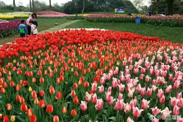 石象湖周边亲子游,周末带娃的好去处松山湖一日游