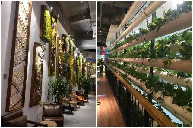 长春有景色的餐厅,在长春有这样一家餐厅你会常去吗