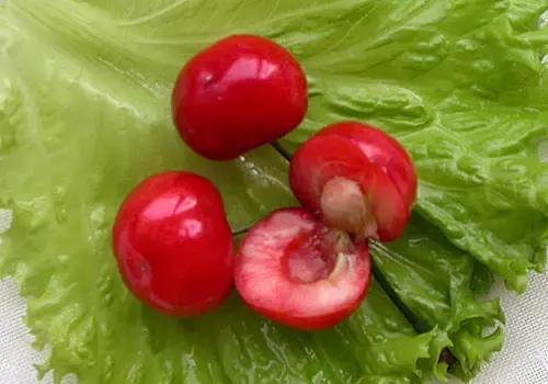 樱桃品种大全一览表,2021年十大樱桃品种排名前十名